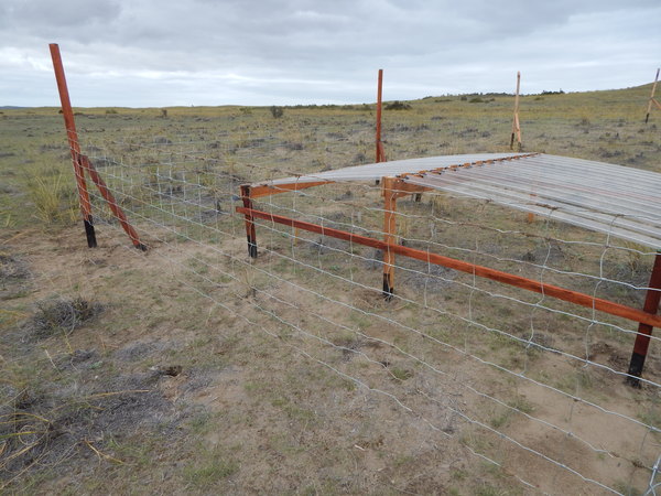 Drought manipulation experiment in Patagonia
